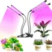   Supretto          LED 50 4    (2099342052)