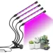   Supretto          LED 50 4    (2099342052)