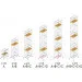 - Svelt MILLENIUM -  C ( ) (TMILL030C)