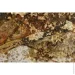 Svitart   150x50  F622B