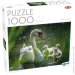  Tactic      (59218)