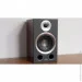     TAGA Harmony AZURE B-40 v.2 Walnut