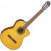   Takamine GC1CE-NAT