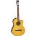   Takamine GC1CE-NAT