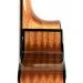   Takamine GC1CE-NAT