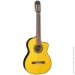   Takamine GC5CE NAT