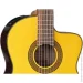   Takamine GC5CE NAT