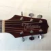   TAKAMINE GD10 NS