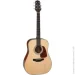   TAKAMINE GD10 NS