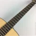   TAKAMINE GD10 NS