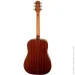   TAKAMINE GD10 NS