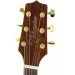   Takamine GD51-NAT