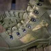 Talan   Stalker (TALAN)  Gore-Tex .  39 (1710238996)