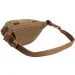 Tasmanian Tiger Modular Hip Bag   , Coyote Brown (7185.346)