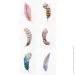   Tatton.Me   Feather Set
