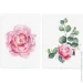 Tatton.Me   Peony Bloom set