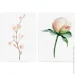 Tatton.Me   Rose Spring set