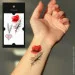 Tattooshka   "   " L-56 (4825800010099)