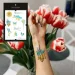 Tattooshka   TATOOSHKA  