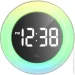     Technoline WS8086 Rainbow (WS8086)