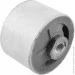   Tedgum 00134246 (134246)