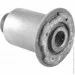  Tedgum TDG 00213609