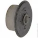 Tedgum TDG 00222824