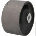   Tedgum TDG 00465454