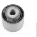  Tedgum TDG TED66189