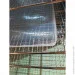     Tekhniko SFT-02 (1729314541)