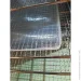     Tekhniko SFT-04 (2343996288)