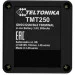 GPS  Teltonika TMT250