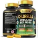   Tenmido  -     Chlorella 120  (4384307475)