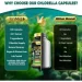   Tenmido  -     Chlorella 120  (4384307475)