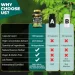   Tenmido  - ,   Moringa Oleifera 150  (4384307461)