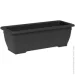  Teraplast   NARA kit  - 2,5  (33169060005)