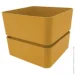  Teraplast   VELETA CURRY  0,35   (8768009308)