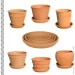 Terraneo   d254   