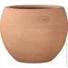  Terraneo   Dego 700108  27  