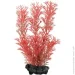 Tetra   DecoArt Plant Gr.Cabomba 23 
