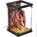 The Noble Collection Գ HOBBIT Smaug  () 17  (NN6029)