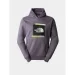 The North Face Graphic (NF0A83FKN141-L)