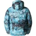  The North Face Himalayan Down Parka (NF0A5J1J9C1-M)