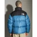  The North Face Nuptse 1996 M BANFF (NF0A3C8DM19-L)