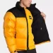 The North Face Nuptse 1996 M Summit gold (NF0A3C8D56P-M)