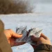   Thermopad Hand Warmer     (TPD 78010 tp)