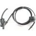   Thomas Drybox Amfibia (788596)