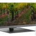  Thomson QLED 65QG5C14