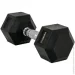 Thunder   10  (HEXAGONAL-DUMBBELLS-10KG)