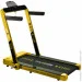 Thunder    Treadmil RACE-GOLD